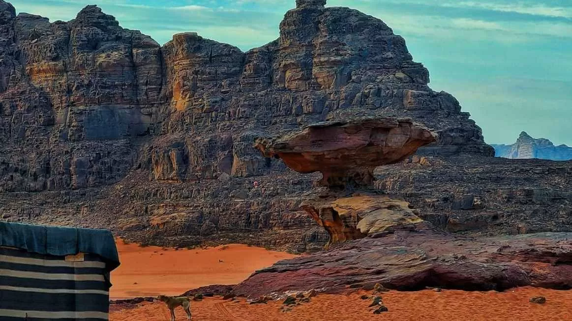 مدار الساعة,أخبار الأردن,اخبار الاردن,سلطة منطقة العقبة الاقتصادية الخاصة