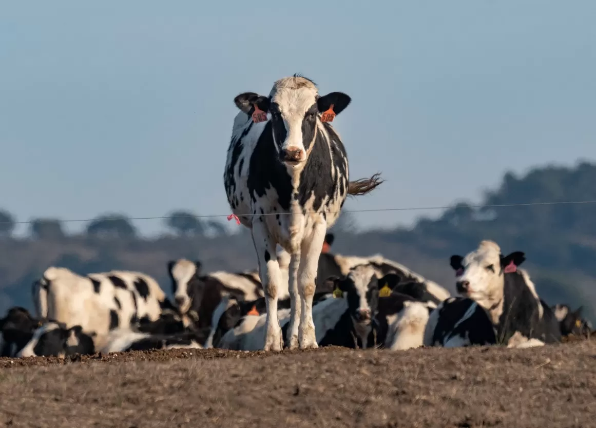 مدار الساعة,أخبار الأردن,اخبار الاردن,الأمن الوقائي