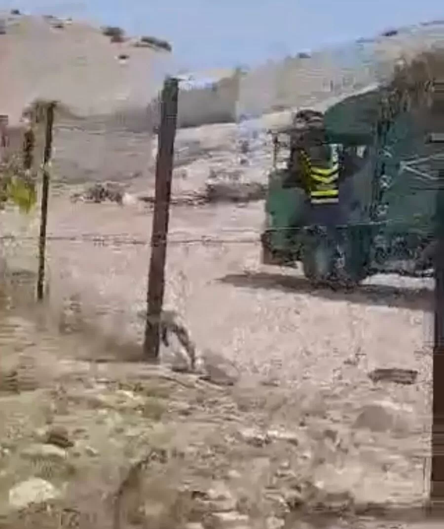 مدار الساعة,Video,فيديو,أخبار الأردن,اخبار الاردن,مديرية الأمن العام,الأمن العام,#مركبة_نقل_متوسطة,#فرار_من_رجال_الأمن,#المشارع