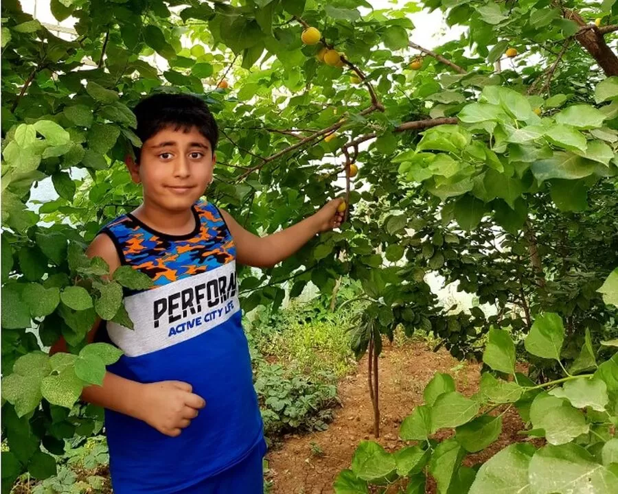 مدار الساعة,مناسبات أردنية