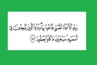 وذروا الذين يلحدون في أسمائه