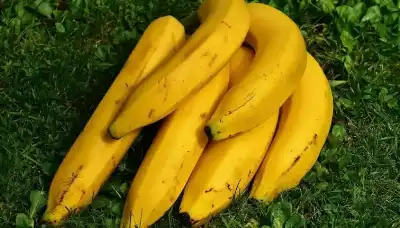 طبيب يحذر.. 3 أنواع من أدوية