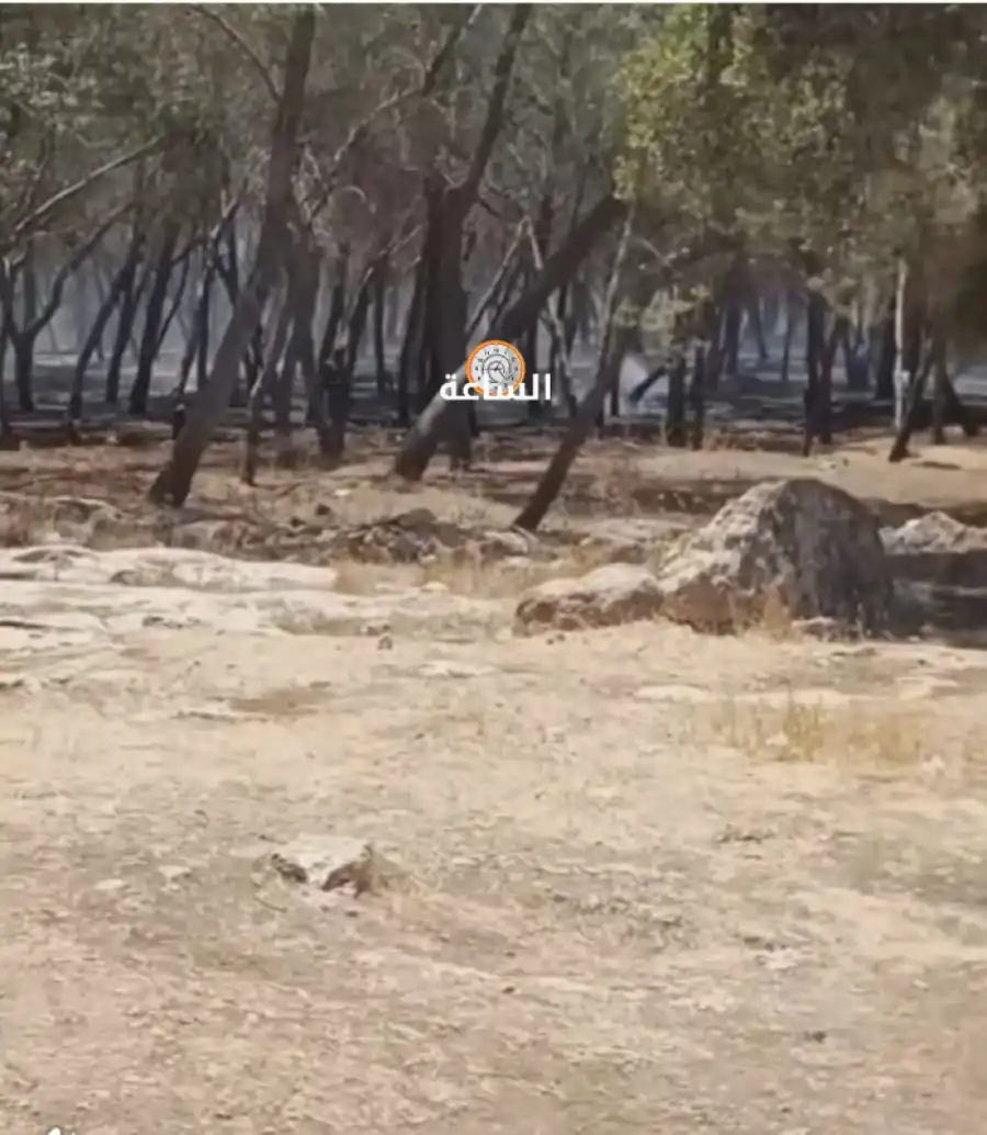 مدار الساعة,أخبار الأردن,اخبار الاردن,الدفاع المدني