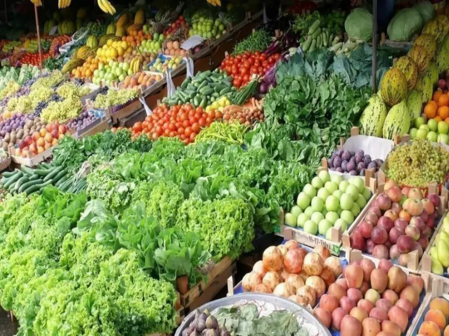 مدار الساعة,أخبار اقتصادية,وزارة الزراعة