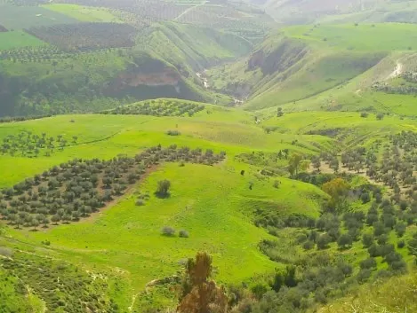 مدار الساعة,أخبار الأردن,اخبار الاردن,الأرصاد الجوية,درجات الحرارة