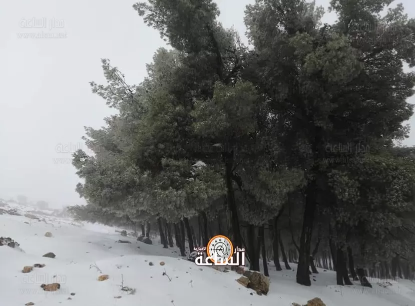 مدار الساعة,أخبار الأردن,اخبار الاردن