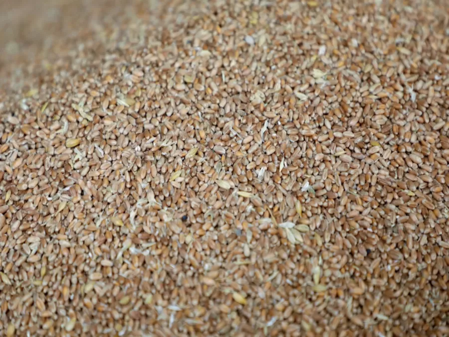 مدار الساعة,أخبار اقتصادية