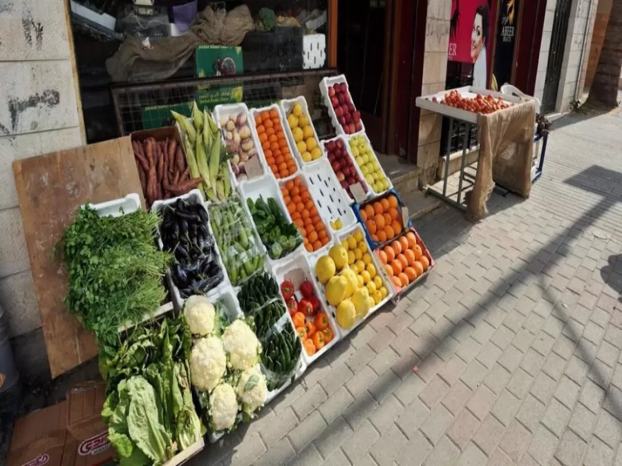 مدار الساعة,أخبار اقتصادية,وزير الزراعة,وادي الأردن