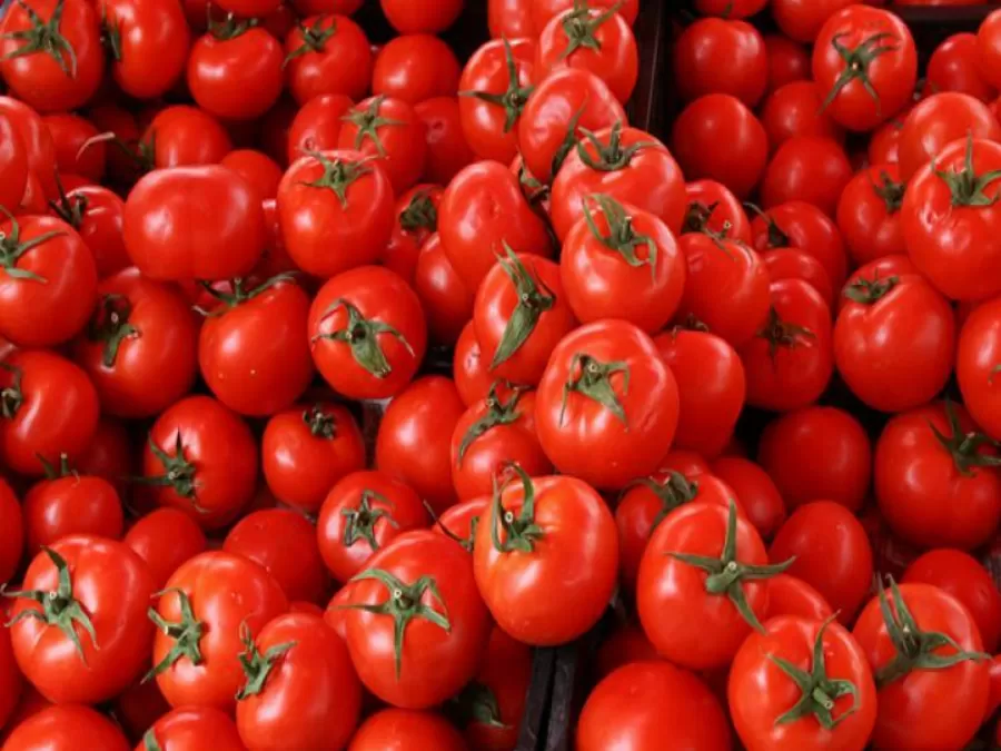 مدار الساعة,أخبار اقتصادية,وزير الصناعة والتجارة والتموين,وزارة الصناعة والتجارة,وزارة الصناعة