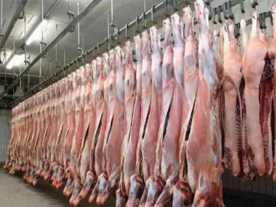 مدار الساعة,أخبار الأردن,اخبار الاردن,أمانة عمان الكبرى,درجات الحرارة