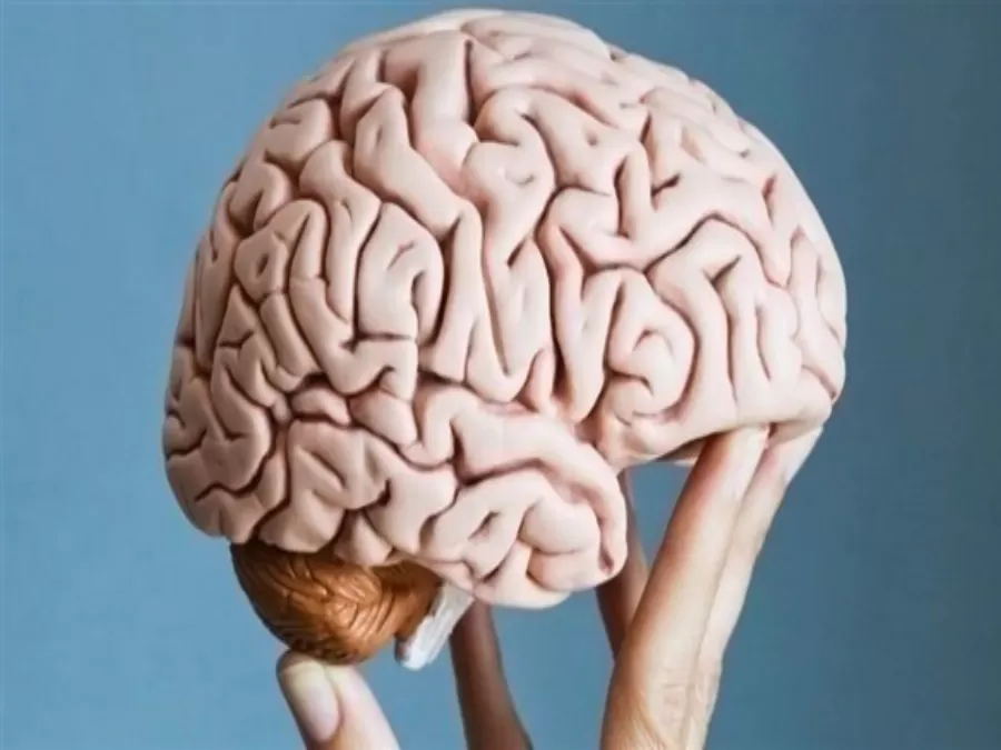 مدار الساعة,أخبار خفيفة ومنوعة