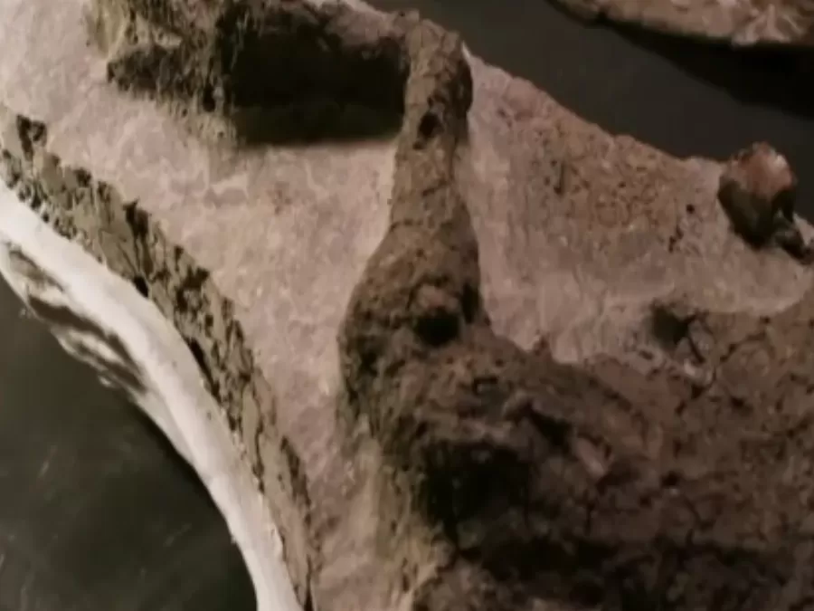 مدار الساعة,أخبار خفيفة ومنوعة