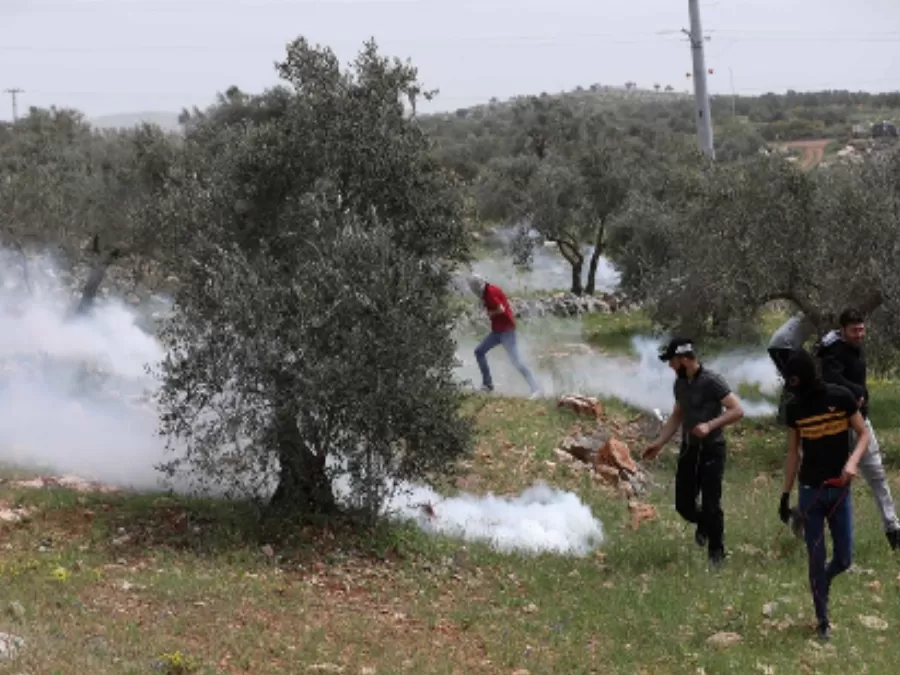 مدار الساعة,أخبار عربية ودولية,قطاع غزة,المسجد الأقصى
