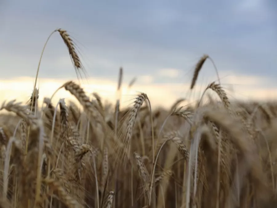مدار الساعة,أخبار اقتصادية,كورونا,الأمم المتحدة
