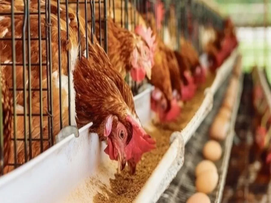 مدار الساعة,أخبار عربية ودولية,الاتحاد الأوروبي