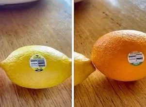 مدار الساعة,أخبار الأسرة