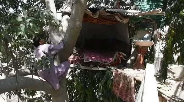 مدار الساعة,أخبار خفيفة ومنوعة,وسائل التواصل الاجتماعي