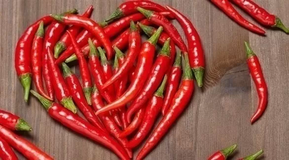 مدار الساعة,أخبار الأسرة