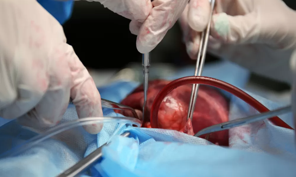 مدار الساعة,أخبار عربية ودولية,الضفة الغربية,قطاع غزة