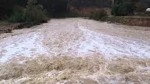 مدار الساعة,أخبار الأردن,اخبار الاردن