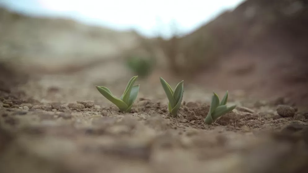 مدار الساعة,أخبار الأردن,اخبار الاردن