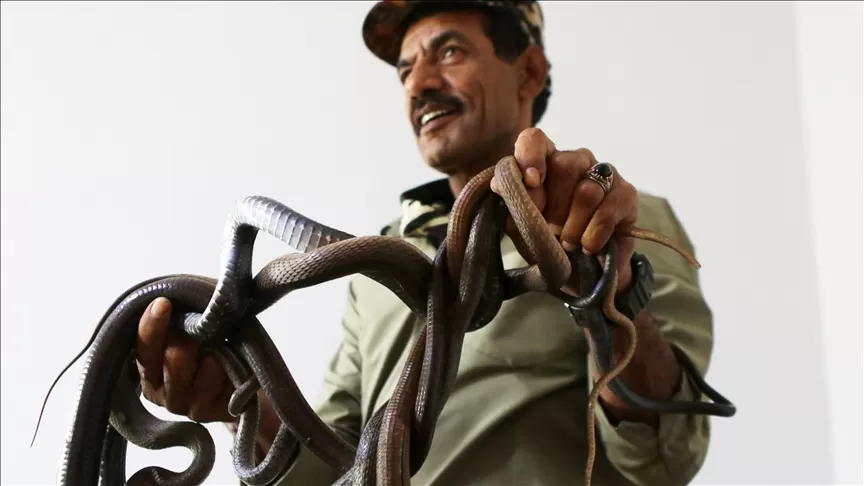 مدار الساعة,أخبار الأردن,اخبار الاردن