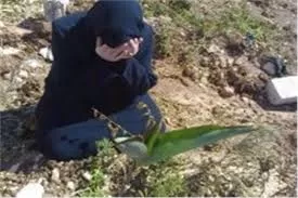 مدار الساعة,شؤون دينية