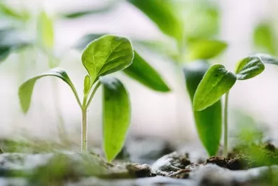 مدار الساعة,أخبار الأردن,اخبار الاردن