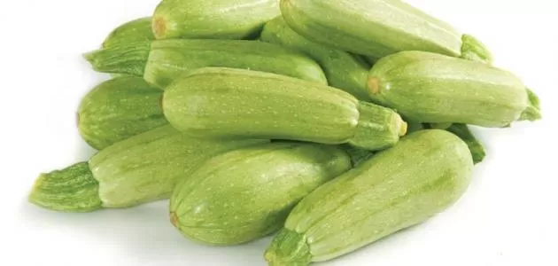 مدار الساعة,أخبار الأسرة