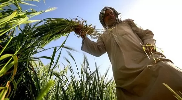 مدار الساعة,أخبار اقتصادية