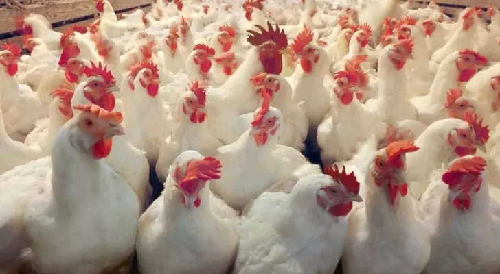 مدار الساعة,أخبار اقتصادية,وزارة الصناعة,عيد الفطر