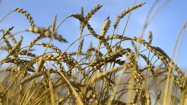 مدار الساعة,أخبار اقتصادية