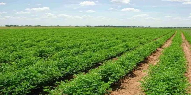 مدار الساعة,أخبار الأردن,اخبار الاردن,خالد حنيفات,صندوق المعونة الوطنية,مستشفى الإيمان