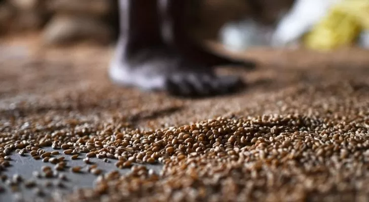 مدار الساعة,أخبار اقتصادية