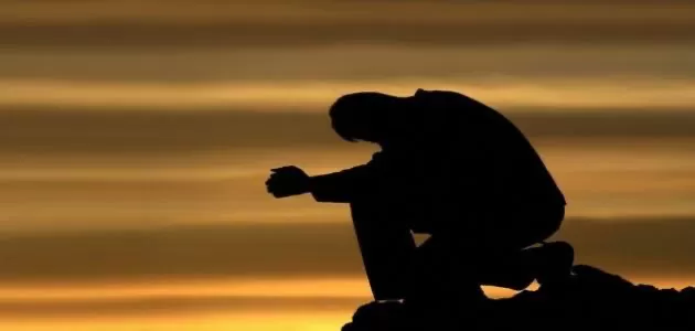 مدار الساعة,أخبار خفيفة ومنوعة