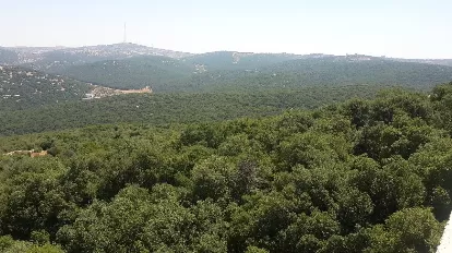 مدار الساعة,أخبار الأردن,اخبار الاردن,وزير الزراعة,خالد حنيفات,الدفاع المدني