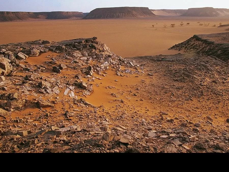 مدار الساعة,أخبار ثقافية