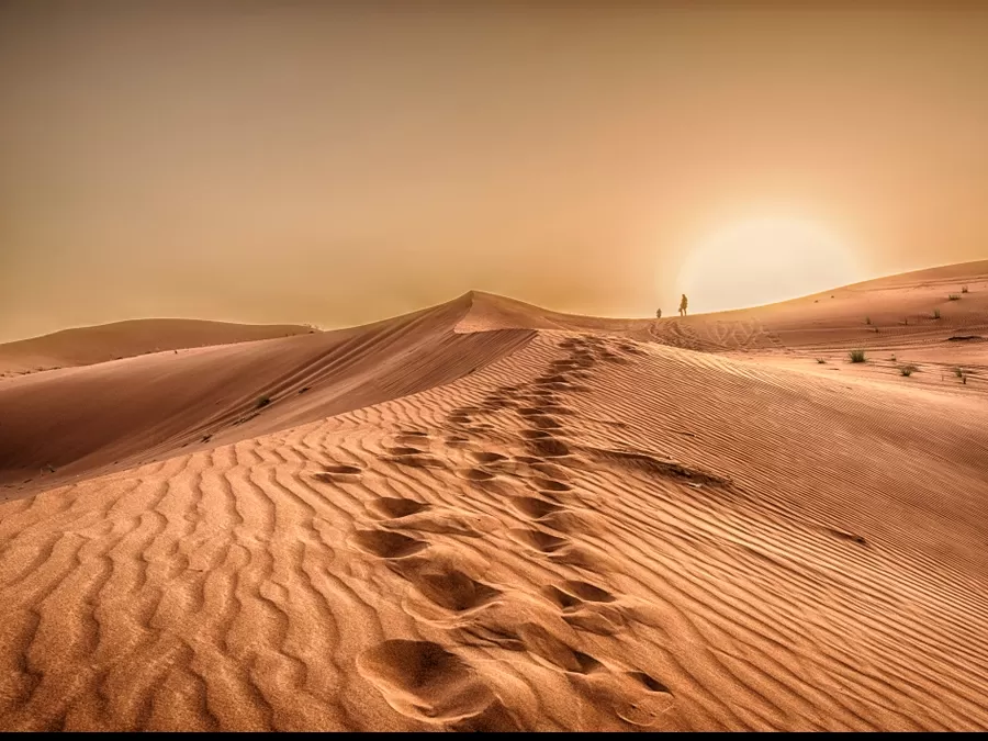 مدار الساعة,أخبار ثقافية