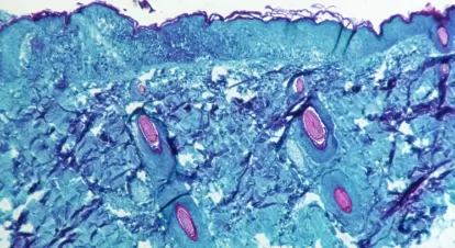 مدار الساعة,أخبار عربية ودولية