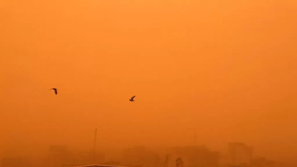 مدار الساعة,أخبار عربية ودولية