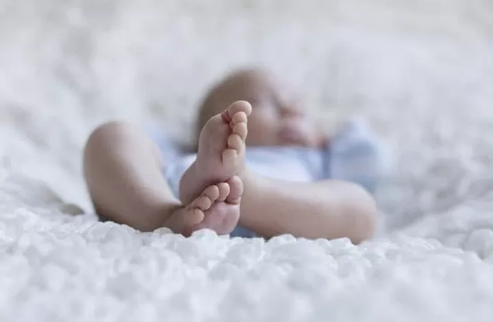 مدار الساعة,أخبار الأردن,اخبار الاردن,دائرة الأحوال المدنية