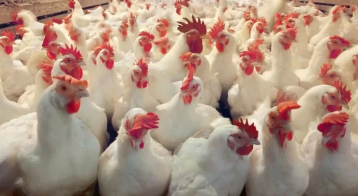 مدار الساعة,أخبار اقتصادية