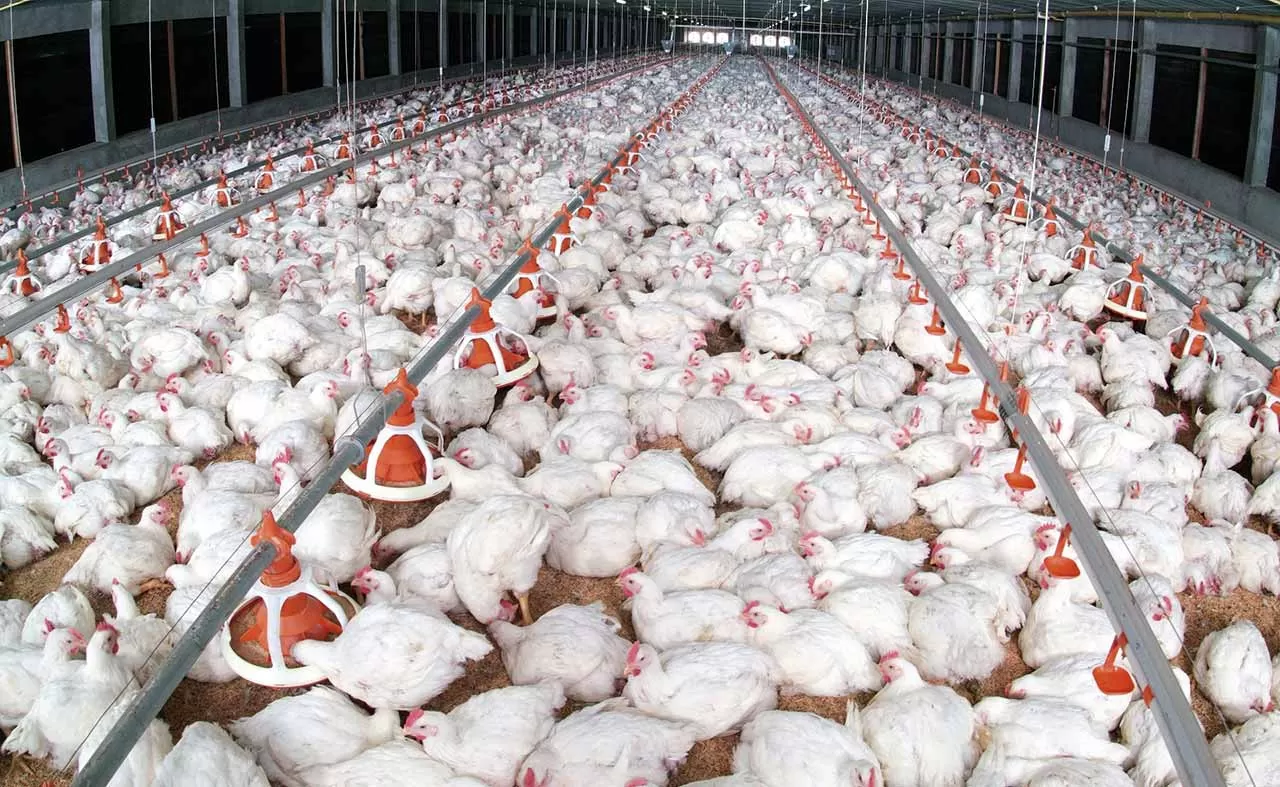 مدار الساعة,أخبار اقتصادية,درجات الحرارة