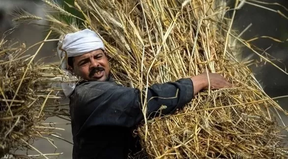 مدار الساعة,أخبار اقتصادية