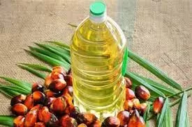 مدار الساعة,أخبار اقتصادية,رئيس الوزراء