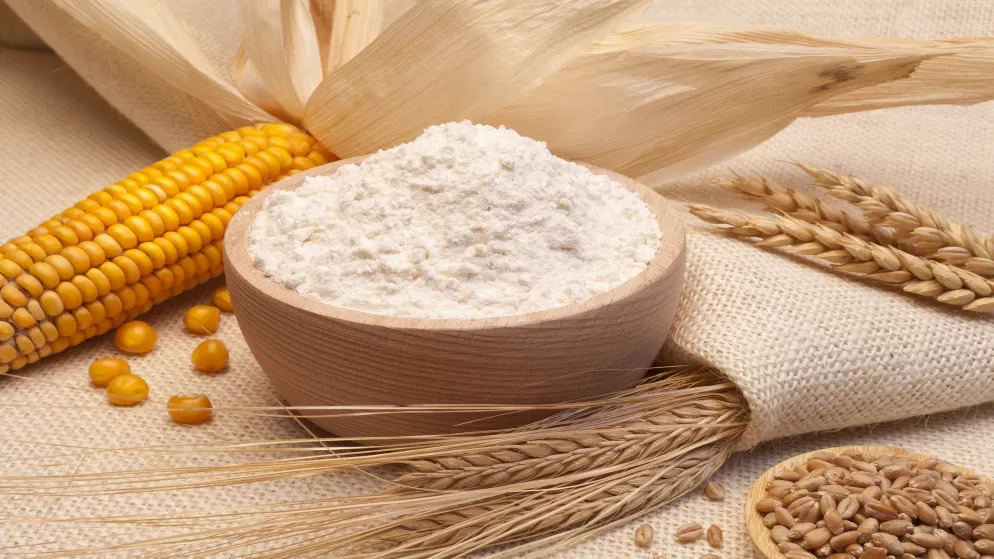 مدار الساعة,أخبار اقتصادية,وزير الصناعة والتجارة والتموين,كورونا,رئيس الوزراء