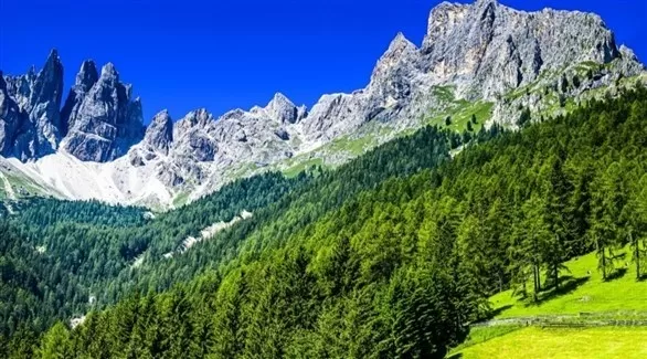 مدار الساعة,أخبار خفيفة ومنوعة
