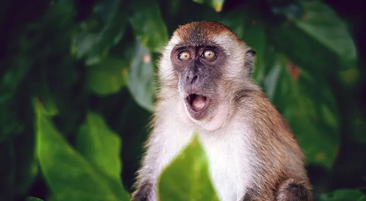 مدار الساعة,أخبار عربية ودولية,وزيرة الصحة,منظمة الصحة العالمية