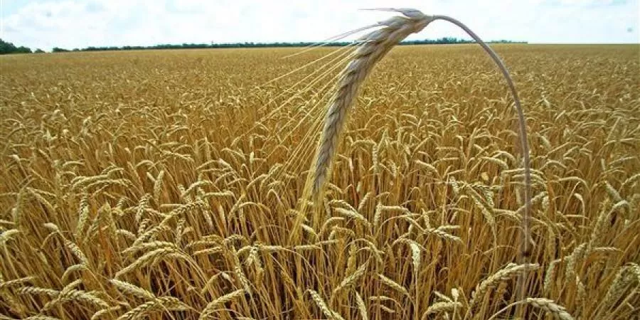 مدار الساعة,أخبار اقتصادية