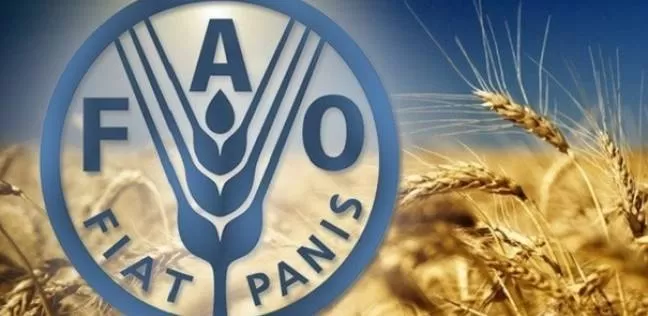 مدار الساعة,أخبار اقتصادية,الأمم المتحدة